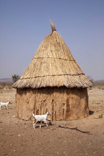 Goats and hut in Himba village, Opuwo, Namibia